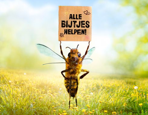 Voorbeeld van campagne